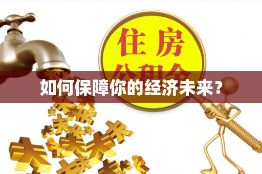 快办如何保障你的经济未来？