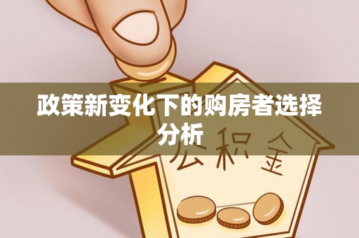 快办政策新变化下的购房者选择分析
