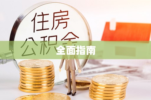 快办全面指南