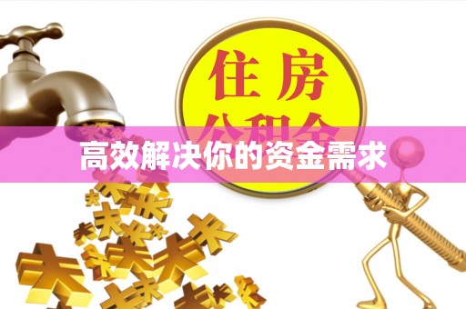 快办高效解决你的资金需求